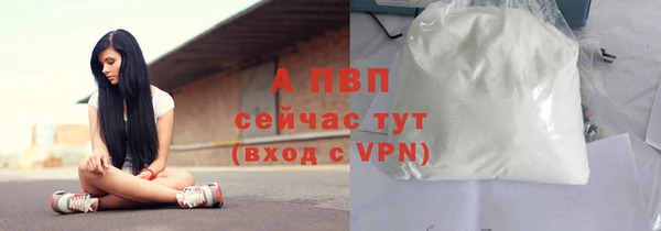 прущие крисы Беломорск